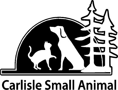 Carlisle Small Animal Vet Clinic